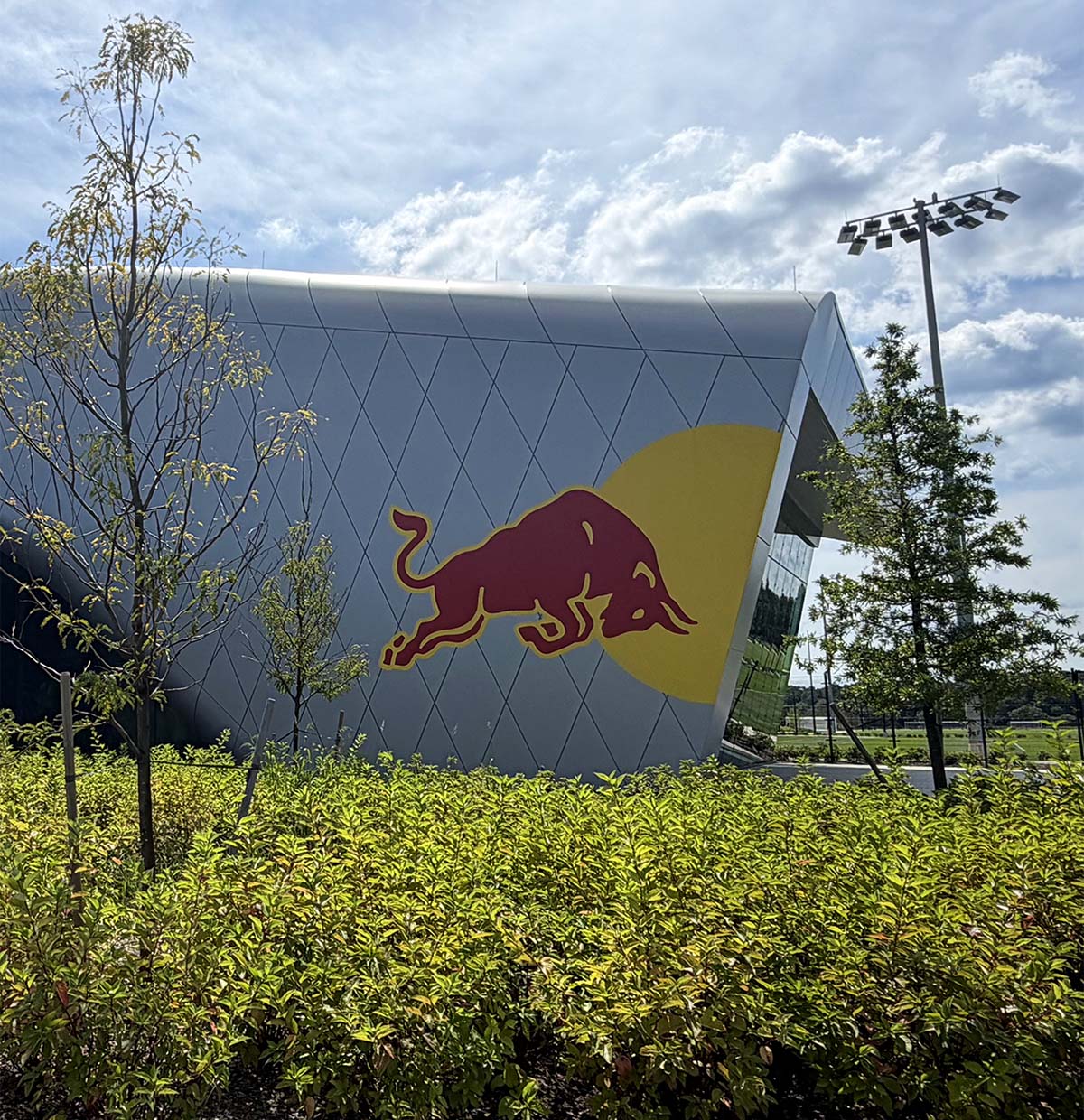 Red Bull New York